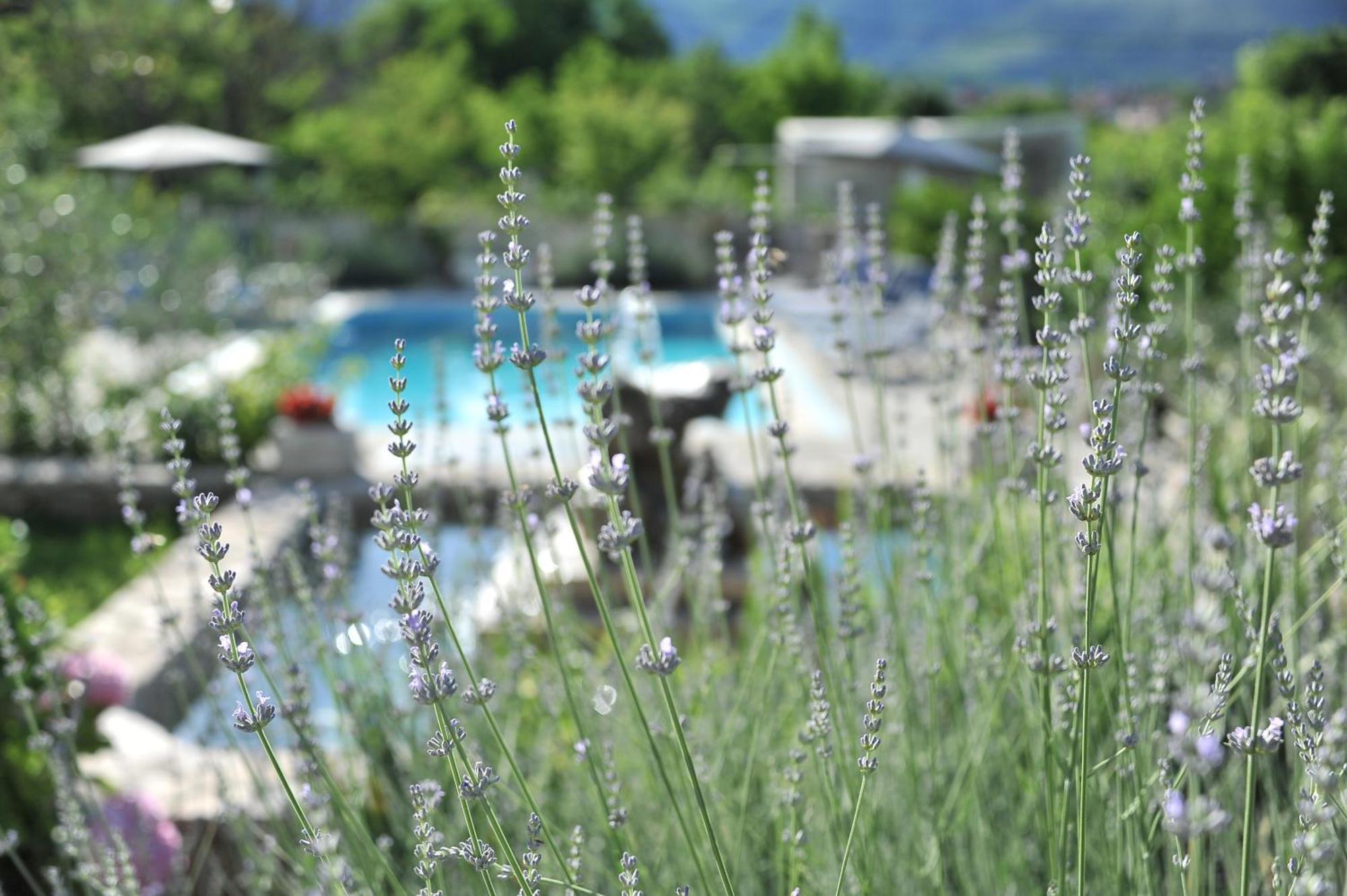 Pool House Maslina Apartment Mostar Ngoại thất bức ảnh